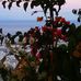 Daniel Schonwald - Facebook