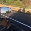 Daniel Schoonover - @daniel.schoonover - TikTok