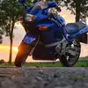 Daniel Schoormann - @danielschoormann - TikTok