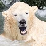 Daniel Schorn - @schorn.daniel - Instagram