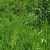 Daniel Schramm - Facebook