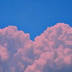 Daniel Schreck - @daniel_skchreck - Instagram