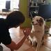 Daniel Schrodt - Facebook
