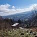 Daniel Schrodt - Facebook