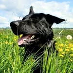 Daniel Schröter - @cesmazord - Instagram