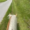 daniel_schu_1 - @daniel_schu_1 - TikTok