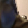 Danielschue - @user8555224846819 - TikTok