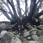 daniel schubert - @dps45678 - Instagram