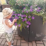 Daniel Schuller - @daniel_schuller2222 - Instagram