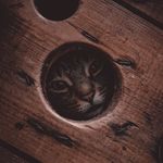 Daniel Schütz - @fotomanufaktur_schuetz - Instagram