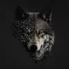 Daniel Schwager - @daniel.schwager6 - TikTok