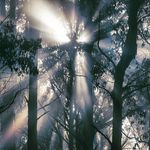 Dan - @daniel___scofield - Instagram