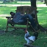 Daniel Seals - @daniel.seals.jds - Instagram