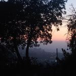 Daniel Segraves - @cerrogordovineyards - Instagram