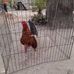 Daniel Seijas - Facebook