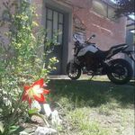 Daniel Seijo - @daniseijo2019 - Instagram