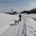 Daniel Seiner - @seinerdaniel - Instagram