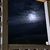 DeeDeeT - @danielleseipel628 - TikTok