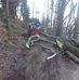 Brennholzservice Daniel Seiter - Facebook