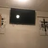 Daniel Selinger - @daniel09876543212 - TikTok