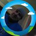 Daniel Sell - Facebook