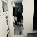daniel sellati - @daniel__sella - Instagram