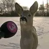 danielsellars30 - @danielsellars3 - TikTok