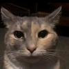 Daniel - @daniel.selle - TikTok