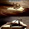 Daniel Selph - @daniel.selph - TikTok