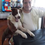 Daniel Selvaggi - @daniel.selvaggi.39 - Instagram