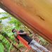 Daniel Syola - Facebook