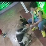 Daniel Semaan - @daniel.semaan.9041 - Instagram