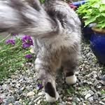 Dennis Danielsen - @danielsendennis - Instagram