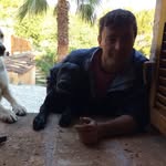 daniel sendra - @colonie73 - Instagram