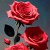 Saintil Daniel - Facebook
