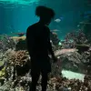 Daniel Sanders - @d_sanders11 - TikTok