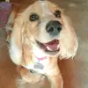 Daniela CR - @seondaniela - TikTok