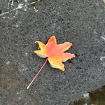 Daniel Seong Min Ko - @denko__x - Instagram