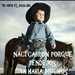 Daniel Serrato Sedano - @serrato.daniel - Instagram