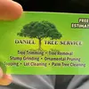 Daniel Tree service - @danieltreeservice - TikTok