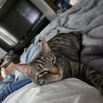 Daniel Serviss - @serv0807 - Instagram