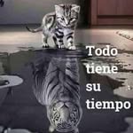 Daniel Sesma - @sesma485 - Instagram