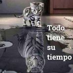 Daniel Sesma - Facebook