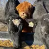 Daniel Sessions - @cityranchlife - TikTok