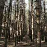 Daniel Sewell - @danny_j_sewell - Instagram