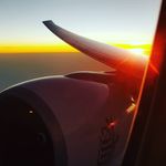 daniel sewell - @theculinarytradie - Instagram