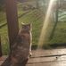 Daniel Shade - Facebook
