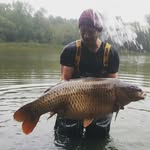 @danielsharpe - Instagram
