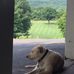 Daniel Shay - Facebook