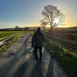 Daniel Sheldon - @dannysheldon1 - Instagram